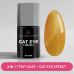 Smalto Gel Cat Eye Finish No Wipe